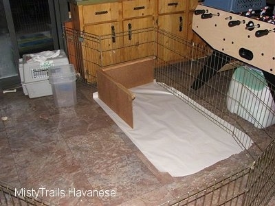 A whelping box surrounded by a Wire Enclosure.