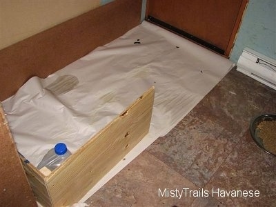 A wood divider in the potty area of the whelping box. It is used to divide the play area from the potty area.