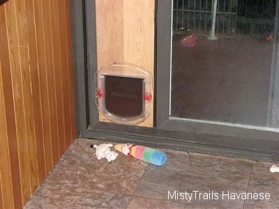 A doggy door leading to the outside and it has two toys in front of it.