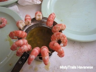 Close up - Cooked Prawns are around the edge of melted butter pan.