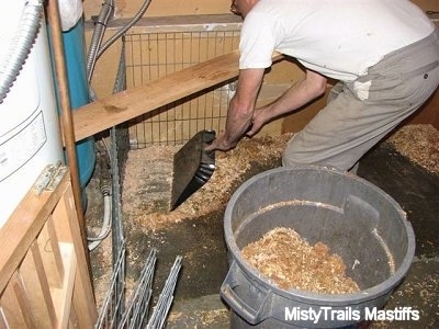 Scooping the soiled wood chips out of the puppy pen