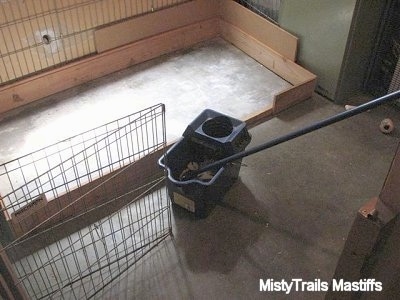 A pen with a cement floor and wooden walls with a mop and bucket sitting outside of it.