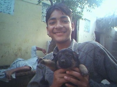 A boy is outside in front of a yellow building holding up a young black and tan German Shepherd puppy. There is a second person sleeping on a bench behind him.