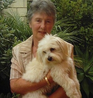 A lady is holding a small tan Silkese dog in her arms. The dog is looking down and to the left.