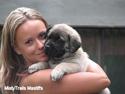 Close Up - Puppy in the arms of a lady