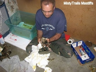 A man helping the puppies go potty