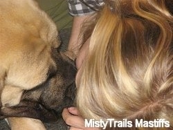 Emily (the Girl) Giving Sassy the English Mastiff a kiss