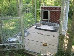 Inside of a Dog Kennel