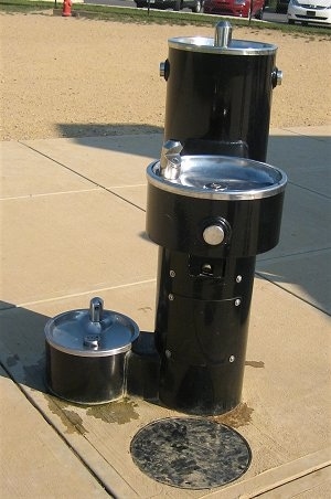 Water Fountain for Humans and Dogs