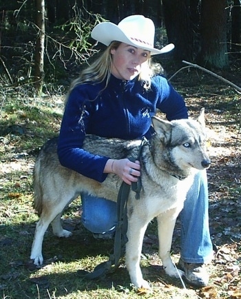 The front right side of a white and brown with black American Indian Dog that is standing in grass with a leash on and there is a woman wearing a cowboy hat kneeling behind it.