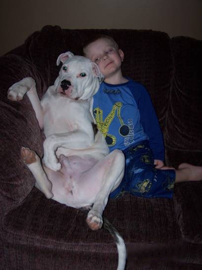 Deuce the Bullypit sitting on a couch next to a boy