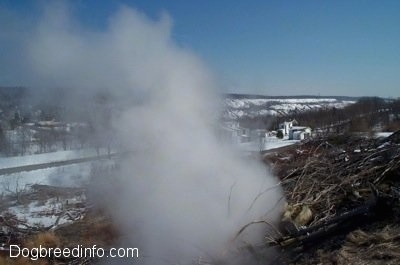 Steam coming out of the ground