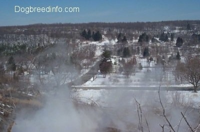 A picture through the steam and a road in the background