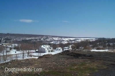 A Hill that is overlooking one of the last houses in Centralia