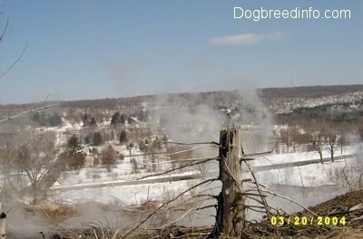 A steaming hill overlooking a snowy road