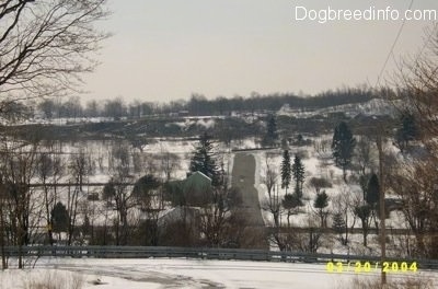 A Picture overlooking one of the last houses