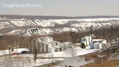 Steaming ground in the foreground and in the background there are a couple houses