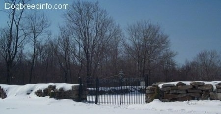 A Snowy Cemetary