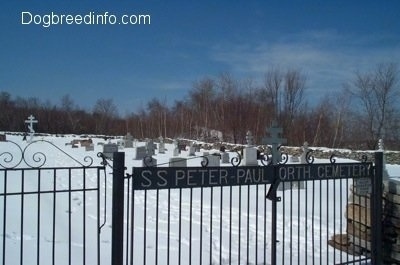 The fence in front of a cemetary