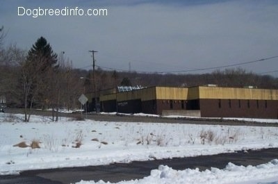 The Municipal Building in Centralia Pa