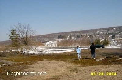 Two people walking to a car through the field