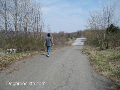 A Person walking down an empty Centralia Street