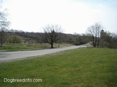 Empty Streets of Centralia PA - Centre Street