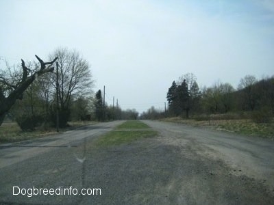 The Empty streets of Centralia