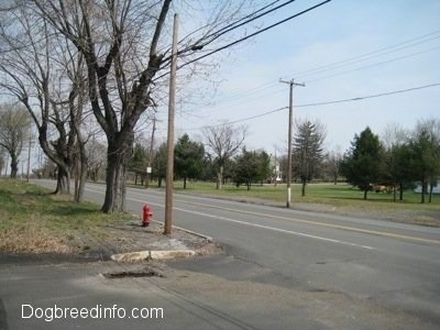 Empty main street of Centralia Pa