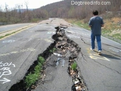 Highway 61 with a huge crack going down the middle with graffiti all around it