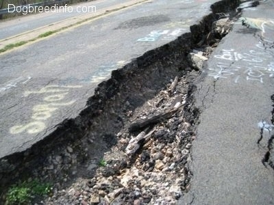 Close Up - the items inside the crack of highway 61