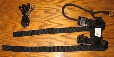 Close Up - An Illusion Dog Training Collar on a hardwood floor