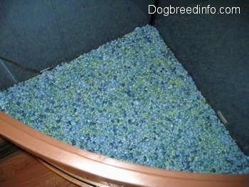 Blue Gravel is filling the bottom of a fish tank