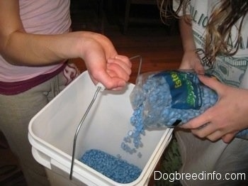 A white bucket is having gravel dumped into it