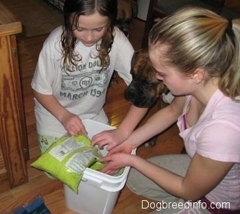 Amie and Sara are pouring yellow gravel into a bucket. Bruno the Boxer is watching them