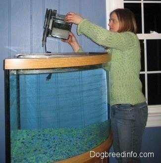 A lady in a green sweater is putting the filter on the back of a tank