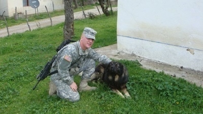 A soldier carrying a M16 rifle gun dressed in camo is kneeling down to pet the side of a black with tan Sarplaninac dog that is laying in a yard.
