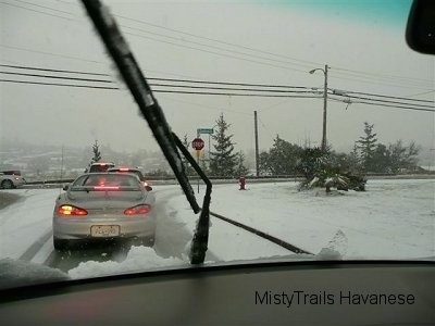 Cars driving in a snow storm