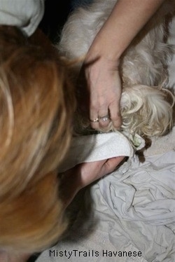 Lady helping pull a puppy out of the dam