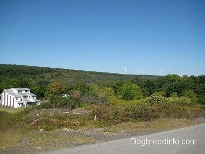 One of the Last houses in Centralia and a Wind Farm on a hill