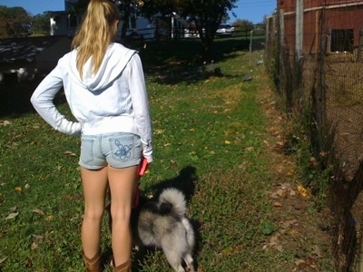 A black, grey and white Norwegian Elkhound is standing in front of a blonde-haired girl at the bottom of a hill facing a barn red chicken coop.