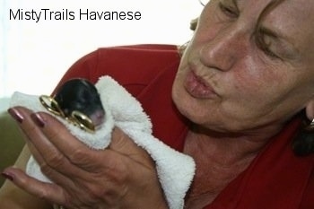 Close Up - Lady cleaning the newborn pup