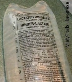 'Lactate Ringer' lable on the bag