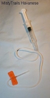 Syringe and tube with a needle at the end for feeding and hydrating