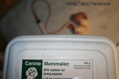 'Canine Mammalac' Milk replacement container with puppy in the background