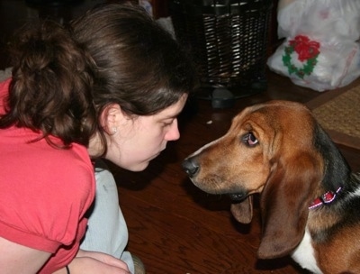 A Lady and a Basset Hound having a staring contest