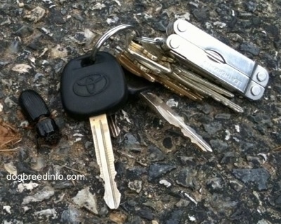 Bessbug next to a set keys