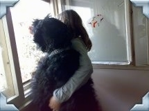 Zevs the Black Russian Terrier looking out of a window next to a person