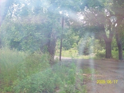 A Centralia Road