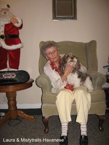 A lady is sitting in an arm chair and there is a gray and white dog sitting in her lap. To the left of them is a dancing Santa standing on a table.